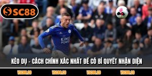 Kèo Dụ - Cách Chính Xác Nhất Để Có Bí Quyết Nhận Diện