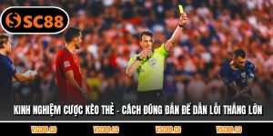 Kinh Nghiệm Cược Kèo Thẻ - Cách Đúng Đắn Để Dẫn Lỗi Thắng Lớn