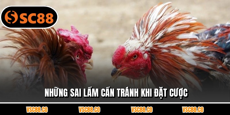 Những sai lầm cần tránh khi đặt cược