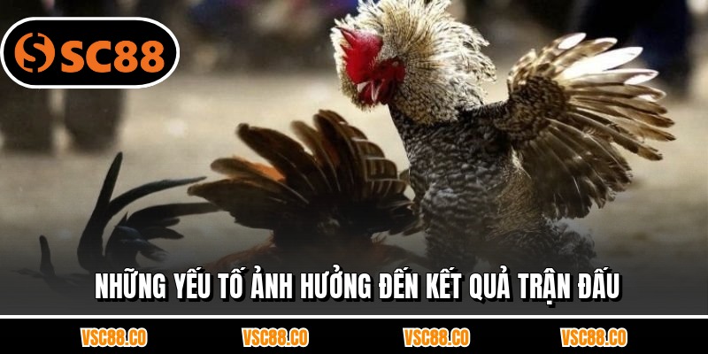 Những yếu tố ảnh hưởng đến kết quả trận đấu